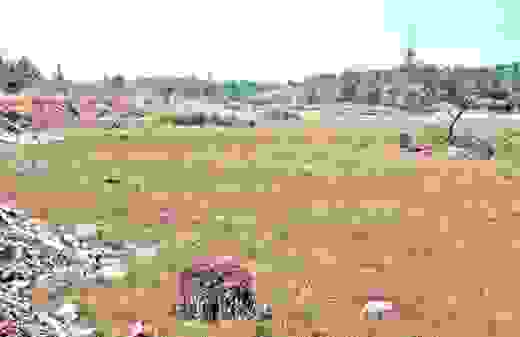 RTO shifting heavy vehicle inspection to Bangra Kulur temporarily